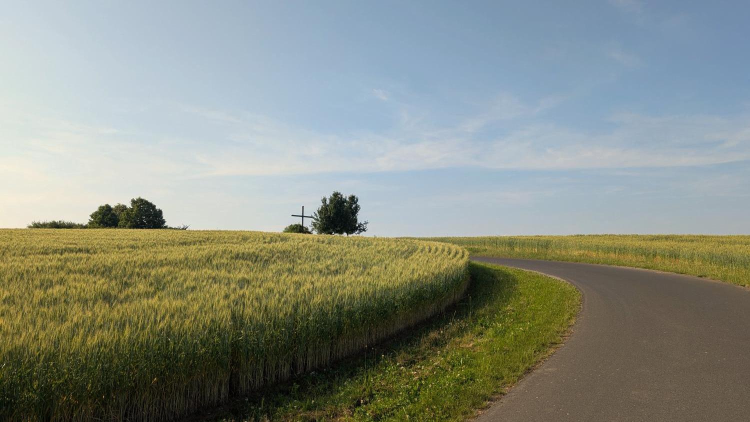 Weg zwischen Feldern