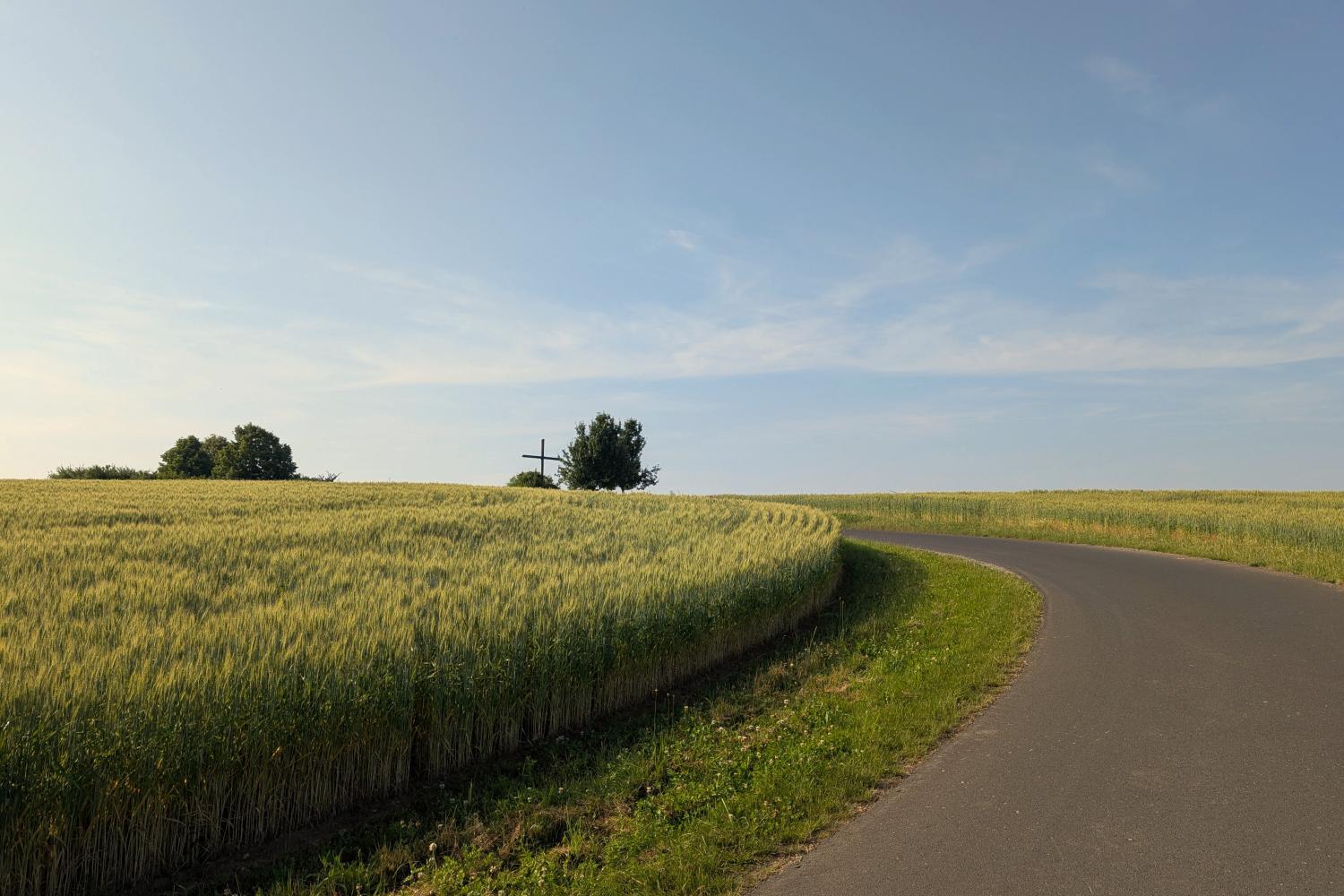 Weg zwischen Feldern