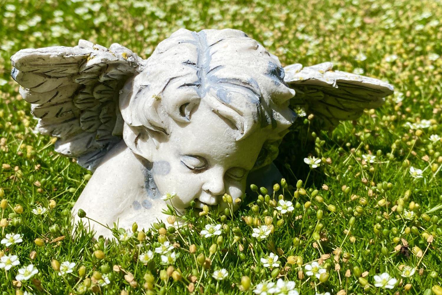 Momente der Verbindung