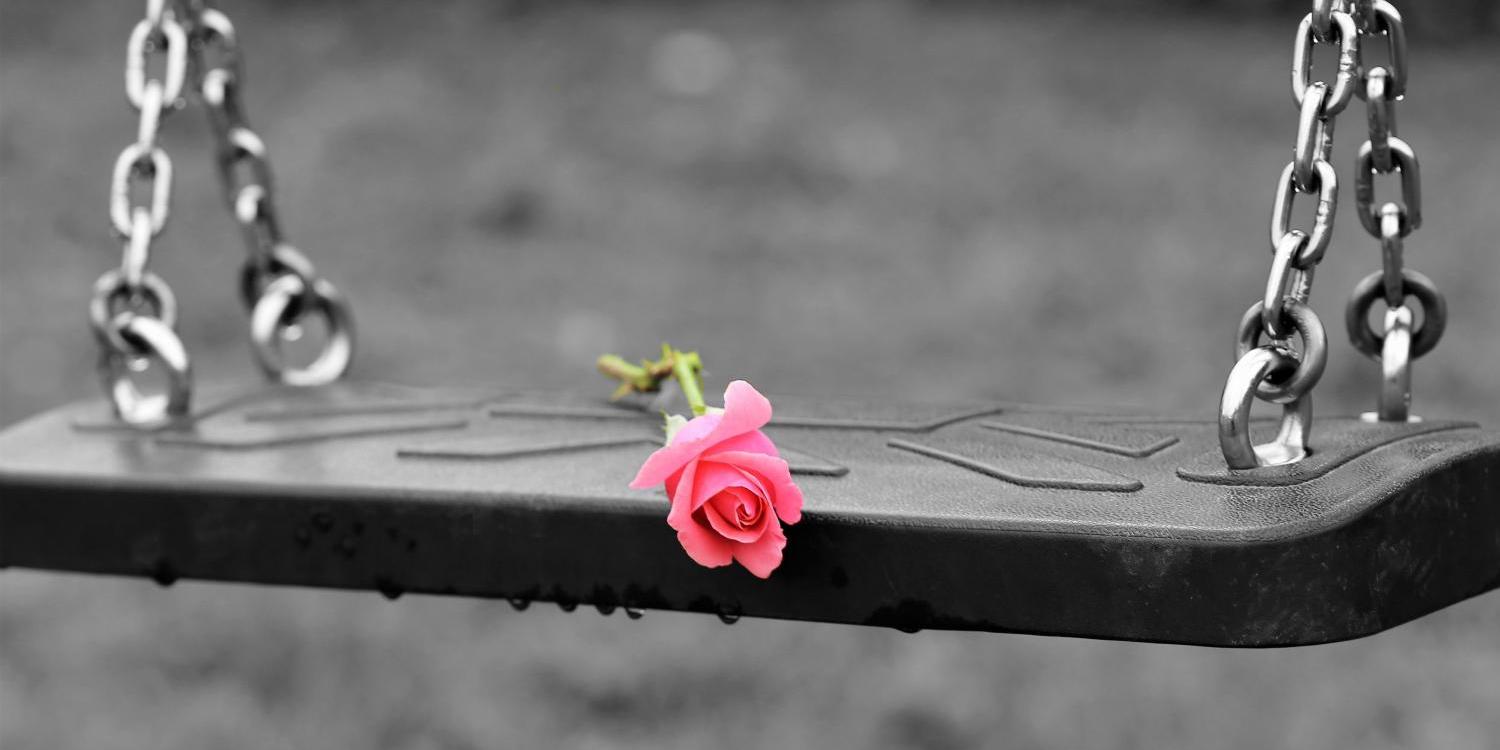 Rose auf einer verlassenen Schaukel